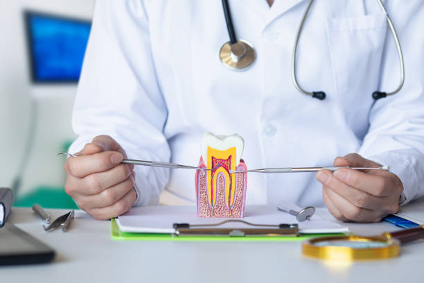 Best Pediatric Emergency Dentist in Siloam Springs, AR